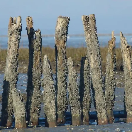 Slanitz Modern Retreat 하를레질