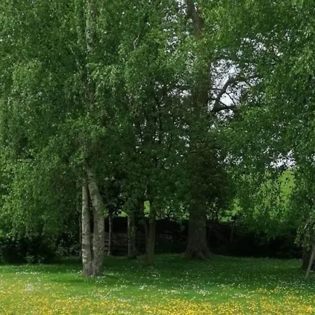 Slanitz Modern Retreat 펜션 *