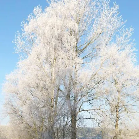 펜션 Slanitz Modern Retreat